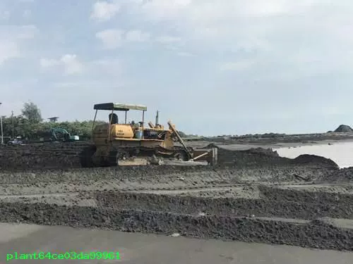 海灘填土整地:屏東填土-東港迎王-推土機填土