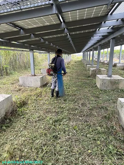 農地整地割草:屏東土木工程-太陽能場地維護