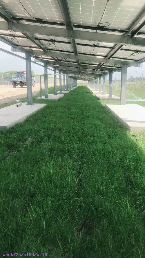 草坪維護工程:屏東土木工程-屏東草皮鋪設